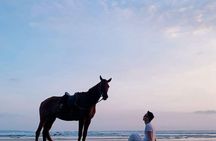 Seminyak beach Private Bali Horse Riding