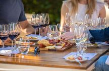 Adelaide Scenic E-Bike Tour and Wine Tasting