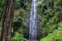 Waterfalls, Hot Spring & Local Coffee Tasting Tour