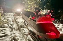 Northern Lights Tour Sleigh Ride