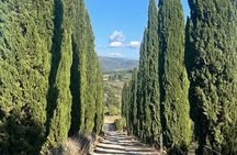 Vegetarian cooking class in the Florentine Hills 6 guests max