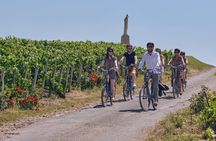 From Reims afternoon e-bike tour, visit and champagne tastings