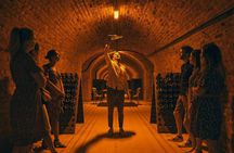 From Reims afternoon e-bike tour, visit and champagne tastings