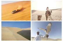 Desert Safari and Inland Sea(Private Tour)