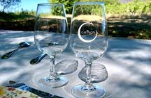 Picnic in the Vines - A Unique Loire Wine Experience