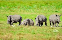 2 Days Akagera National Park Safari