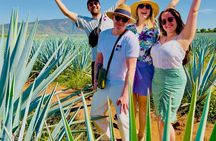 Tequila/Guachimontones Tour-cultural heritage route