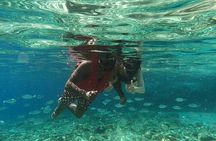 Private 1-Hour Guided Snorkeling Adventure with Go Pro Pictures 