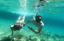 Private 1-Hour Guided Snorkeling Adventure with Go Pro Pictures 