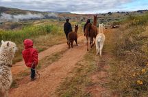 Hiking and Textile Workshop (Cuzco): ANDEAN COLORS