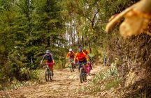 Bike and Ceviche Tour in Cusco - MTB