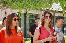 Viña Concha y Toro: Premium Wine Center Tour