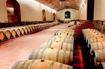Marquis de Casa Concha: Wine tasting in Concha y Toro