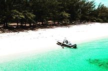 Beach Day Swim with Turtles and Pigs Excursion in Nassau