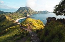 One Day Trip to Komodo National Park, using a luxury fast boat 