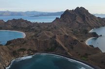 One Day Trip to Komodo National Park, using a luxury fast boat 