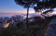 Málaga Sunset & Night Tour by Electric Car