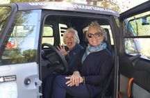 Málaga Christmas Lights Night Tour by Electric Car