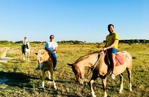 Horse ride in a Salento Nature Reserve with transfer from Lecce