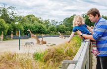 Dublin Zoo Skip-the-line Tickets and Private Transfers 