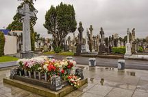 Dublin Glasnevin National Cemetery Audio Tour with Transfers