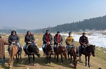 Private Multi Day Pahalgam Sonamarg Gulmarg Kashmir Tour
