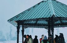 Private Multi Day Pahalgam Sonamarg Gulmarg Kashmir Tour