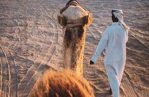 Doha-Half Day Safari with Quad Bike ATV/Camel Ride/sandboard