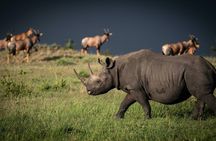4-Day Maasai Mara Lake Nakuru Budget Safari With 4*4 Vehicle