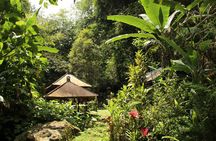 Purification Ceremony in sacred Jungle Temple Bali