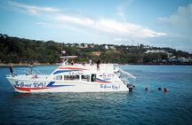 Half Day Sosua Sunset Cruise with Snorkeling