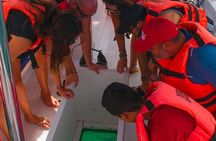 Whale Watching Tour in Cabo San Lucas with Guide