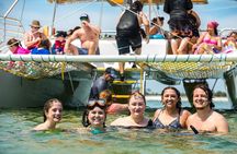 Footloose Catamaran Snorkel and Dolphin Watch Tour