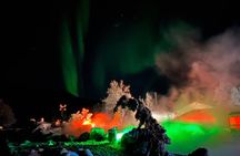 Northern Lights at Chena Hot Springs 