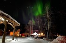 Chena Hot Springs Round Trip Tour