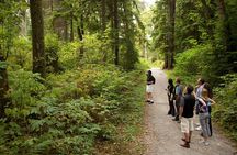 Exploring Vancouver: Includes Admission to Vancouver Lookout