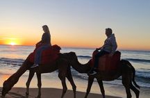Adventure day in Tangier + free photography