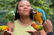  Bird Sanctuary and animal farm Day Tour 