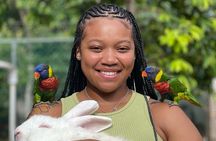  Bird Sanctuary and animal farm Day Tour 