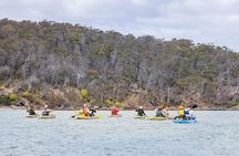 4 Hour Aboriginal Culture Tour Kayaking Pambula River