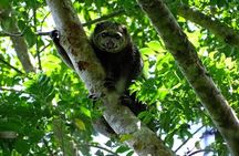 Tangkoko Bitung Manado Nature Tourism Park includes lunch.