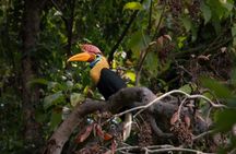 Tangkoko Bitung Manado Nature Tourism Park includes lunch.