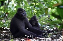 Tangkoko Bitung Manado Nature Tourism Park includes lunch.