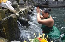 Ubud Rice Terrace Swing Waterfall Private Guided Tour