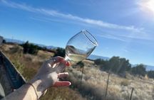 EBIKE Winery Tour in Penrose, Colorado: Penrose Uncorked