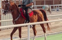 Doha-Private Half Day Safari with Horse Ride/Camel Ride/sandboard