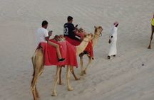 Doha-Private Half Day Safari with Horse Ride/Camel Ride/sandboard