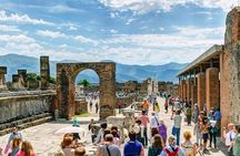 Guided Tour of Pompeii and Herculaneum with Lunch and Ticket 