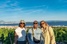 Vineyard Experience: Wine Tasting near Split