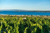 Vineyard Experience: Wine Tasting near Split
